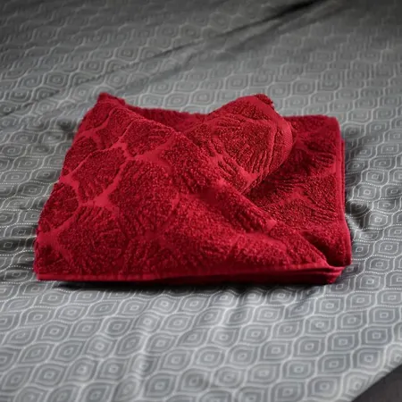 W Apartamencie Dwupokojowym Ze Wspoldzielona Kuchnia I Lazienka Gdynia