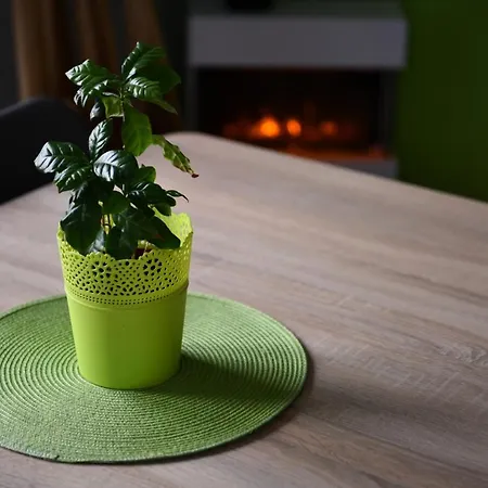 Homestay W Apartamencie Dwupokojowym Ze Wspoldzielona Kuchnia I Lazienka