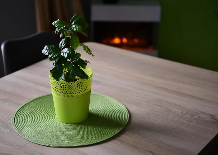 Ubytování v soukromí W Apartamencie Dwupokojowym Ze Wspoldzielona Kuchnia I Lazienka